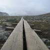 Kungsleden 2008