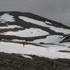 IMG_0402