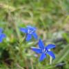 IMG_0558
